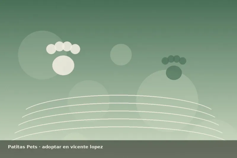 Ilustración adopción y bienestar animal en Vicente López, foto única Patitas Pets (Pillow)