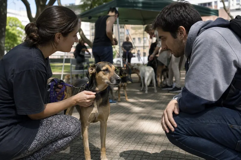 Voluntaria y posible adoptante con perro mestizo en jornada de adopción al aire libre, foto ilustrativa (Gemini)
