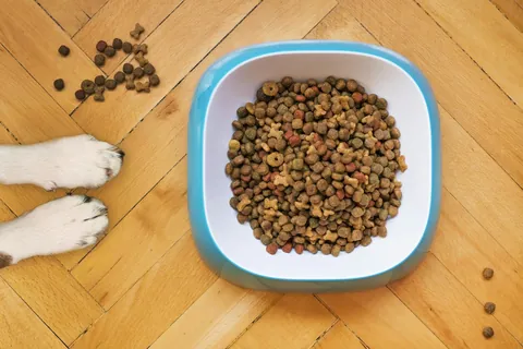 Bolsa de alimento para perro adulto, ilustrativa