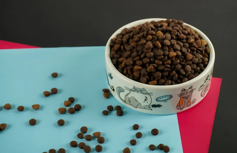 Comedero con alimento seco, ilustrativo