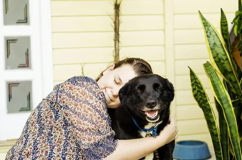 Persona con un perro, foto ilustrativa