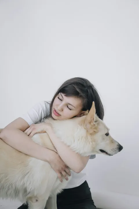 Persona abrazando un perro de refugio, foto ilustrativa