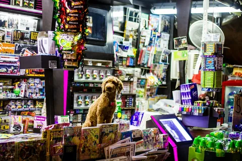 Perro sobre un mostrador de barrio, ilustrativo