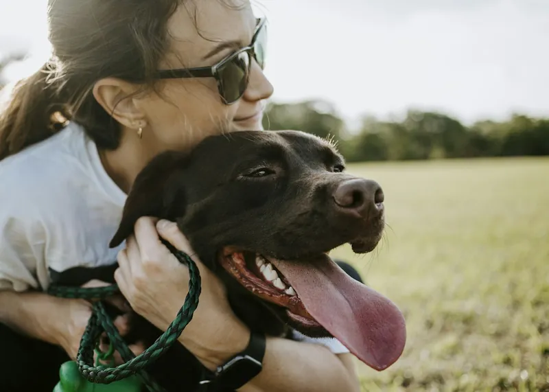 Persona con un gato o un perro de refugio, ilustrativo