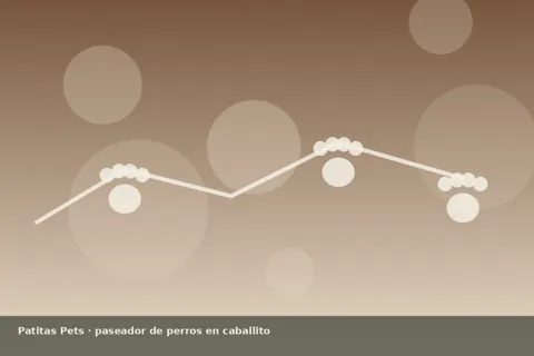 Ilustración paseador Caballito, foto única Patitas Pets