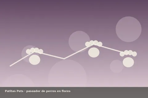 Ilustración paseador Flores, foto única Patitas Pets