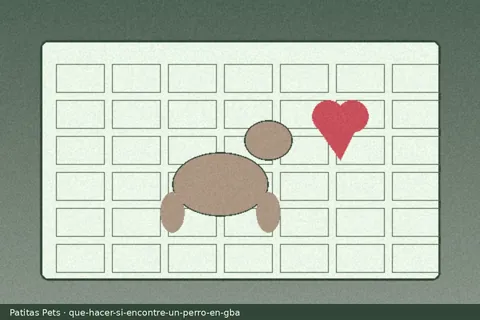 Ilustración de perro hallado en vereda del GBA